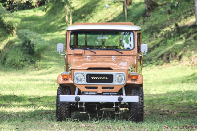 1980 Toyota Land Cruiser FJ-45 - photo 11