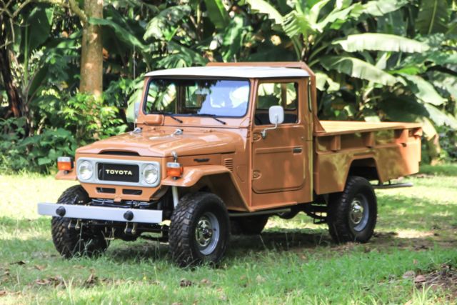 1980 Toyota Land Cruiser FJ-45 - photo 2