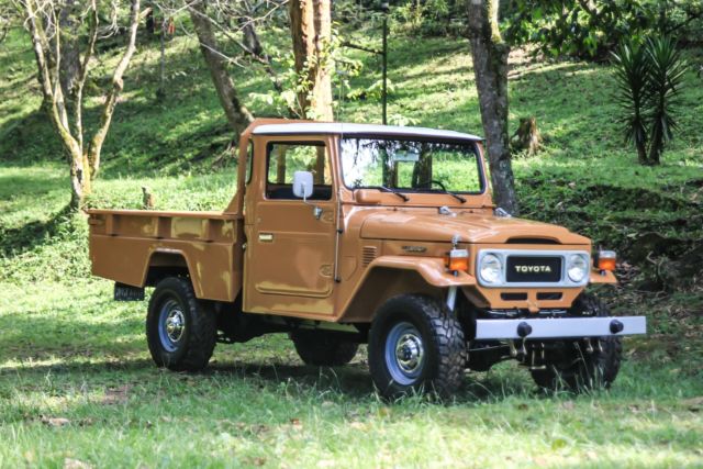 1980 Toyota Land Cruiser FJ-45 - photo 4
