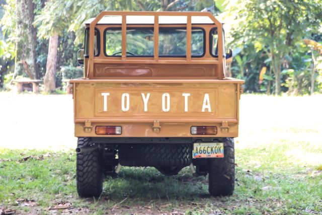 1980 Toyota Land Cruiser FJ-45 - photo 6