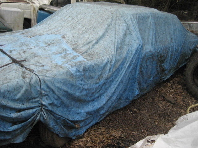1985 Lincoln Town Car Moon Roof  1/2 Vinyl Roof - photo 6