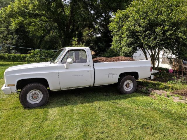 1985 Chevrolet Other Pickups - photo 4