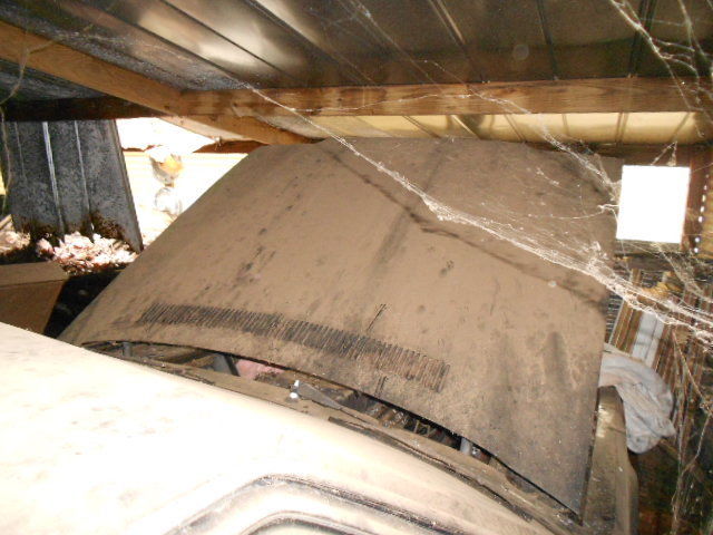 1985 Maserati Quattroporte BARN FIND - photo 5
