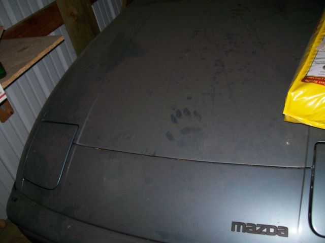 1985 Mazda RX-7 - photo 10