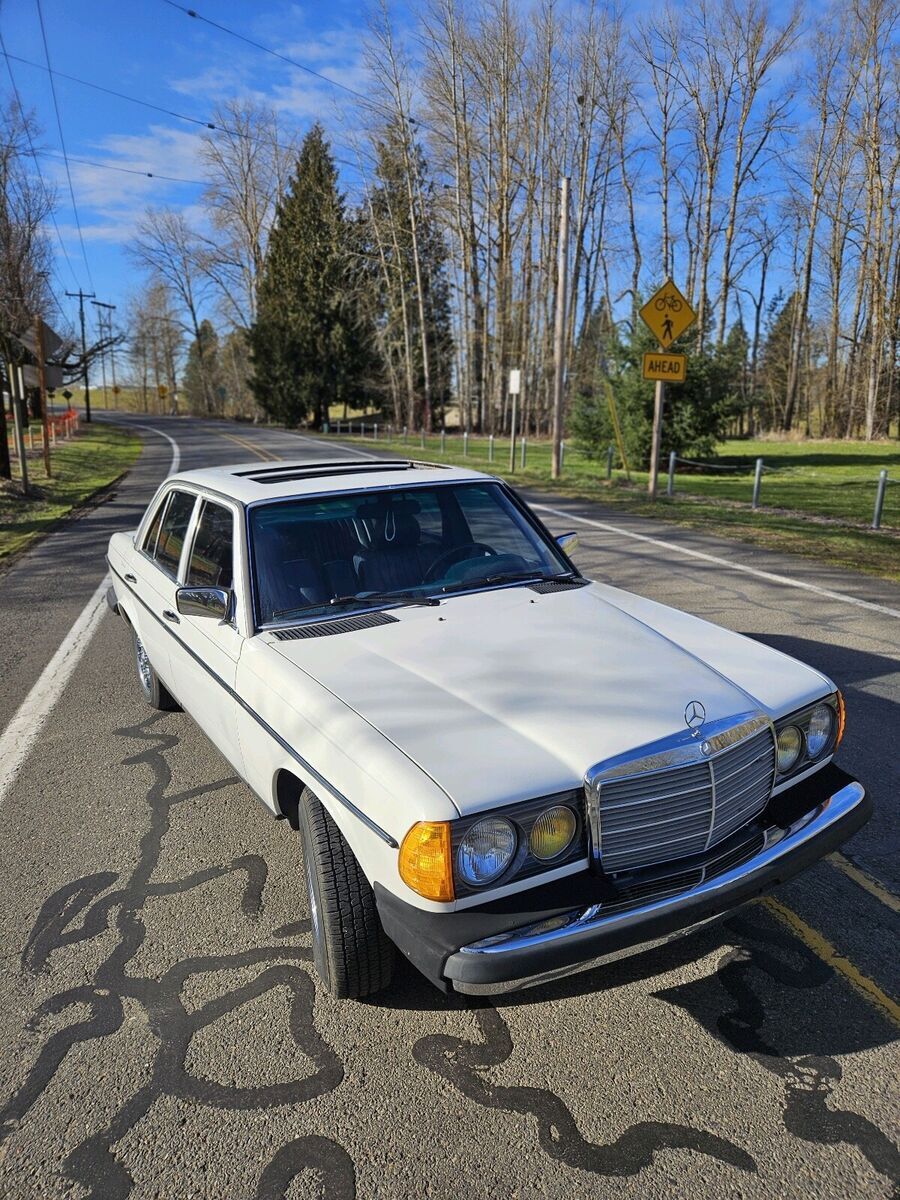 1985 Mercedes-Benz 300-Series DT - photo 13