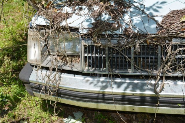 1985 Mercury 61 - photo 6