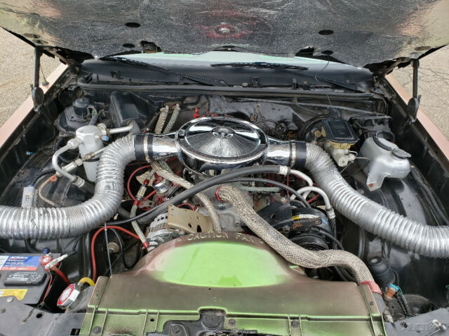 1985 Chevrolet Monte Carlo 85 Monte Carlo SS Aerocoupe 5.0L V8 Donk 26" Dubs - photo 11