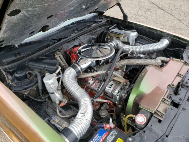1985 Chevrolet Monte Carlo 85 Monte Carlo SS Aerocoupe 5.0L V8 Donk 26" Dubs - photo 12