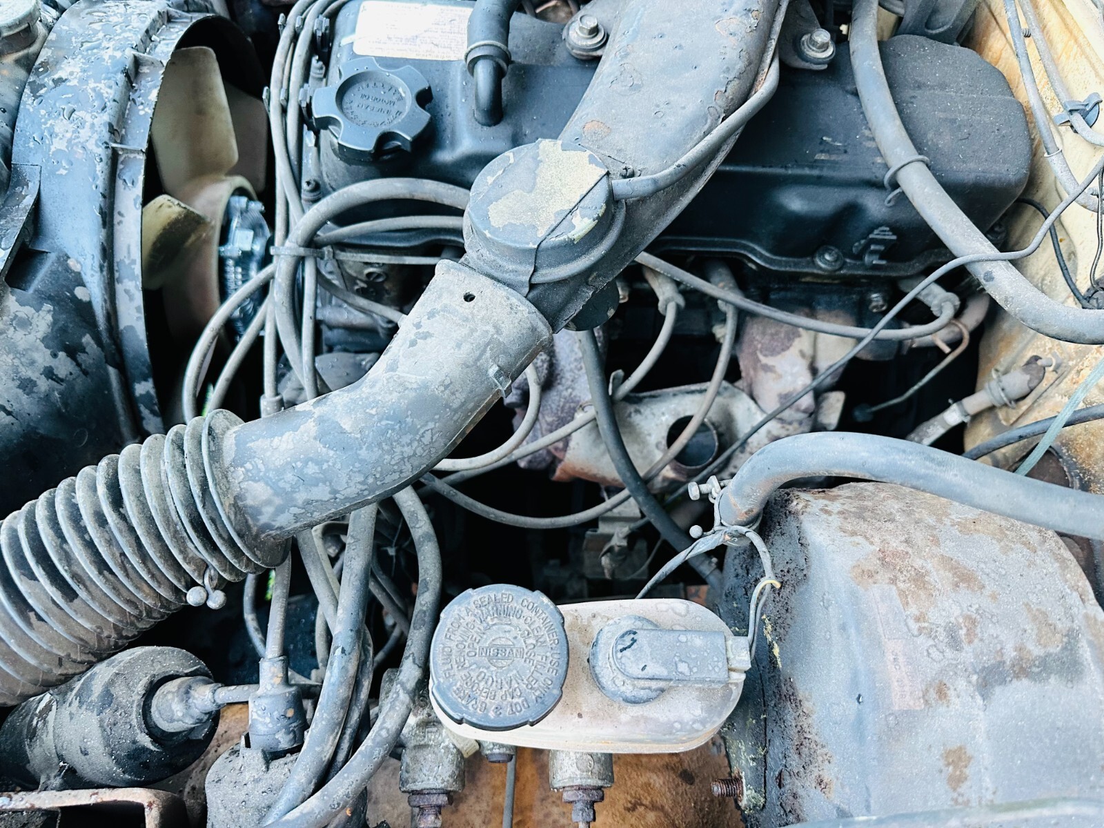 1985 Nissan 720 5.5 Feet Bed 2.0 ltr 4 cyl  95hp Manual - photo 5