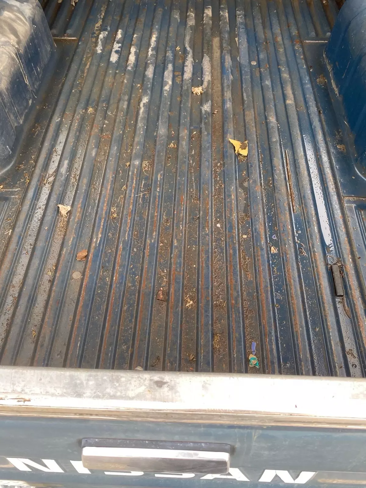1985 Nissan 720 SHORT BED - photo 9