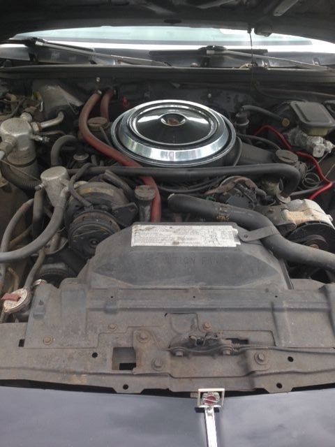 1985 Oldsmobile 442 - photo 11