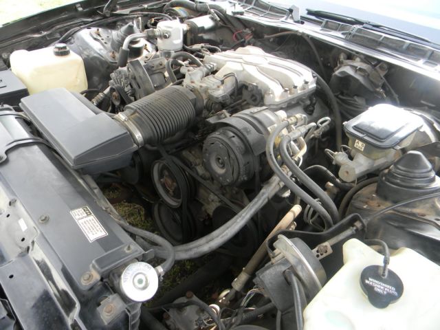1985 Pontiac Firebird BLACK - photo 13