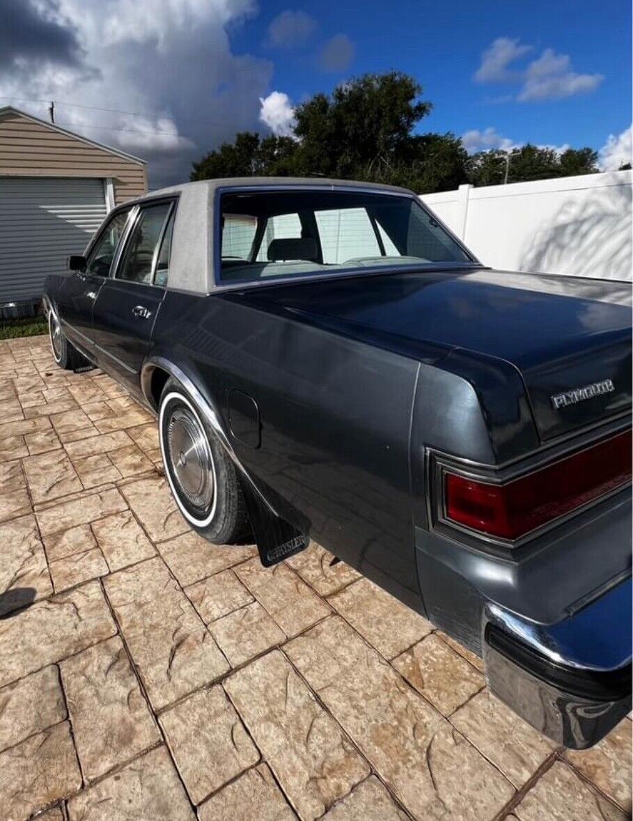 1985 Plymouth Fury CARAVELLE - photo 7