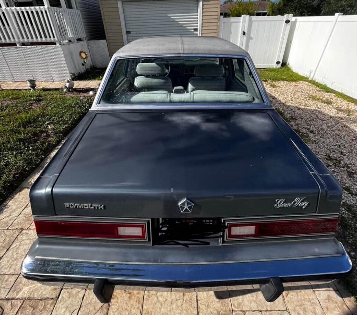 1985 Plymouth Fury CARAVELLE - photo 8