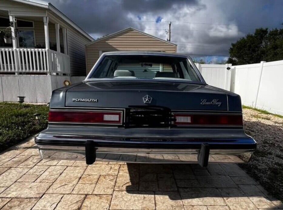 1985 Plymouth Fury CARAVELLE - photo 9