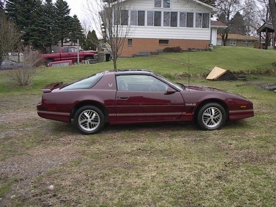 1985 Pontiac Firebird - photo 3