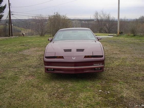 1985 Pontiac Firebird - photo 4