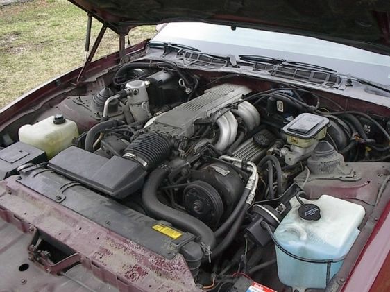 1985 Pontiac Firebird - photo 9