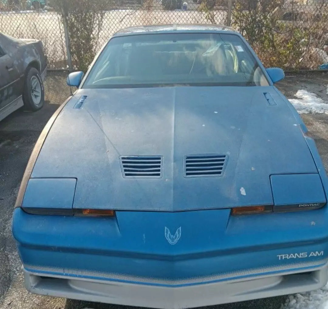 1985 Pontiac Firebird TRANS AM - photo 13