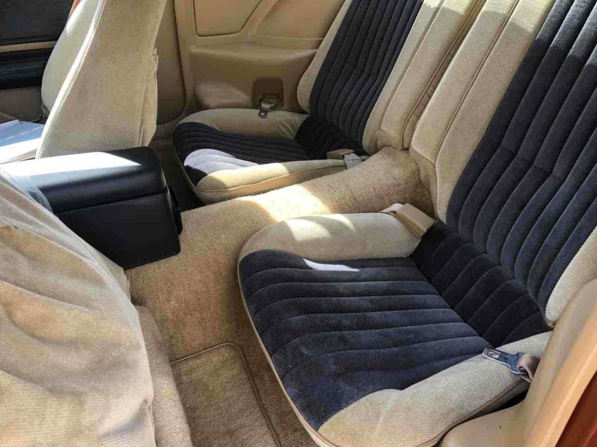 1985 Pontiac Firebird TRANS AM - photo 10