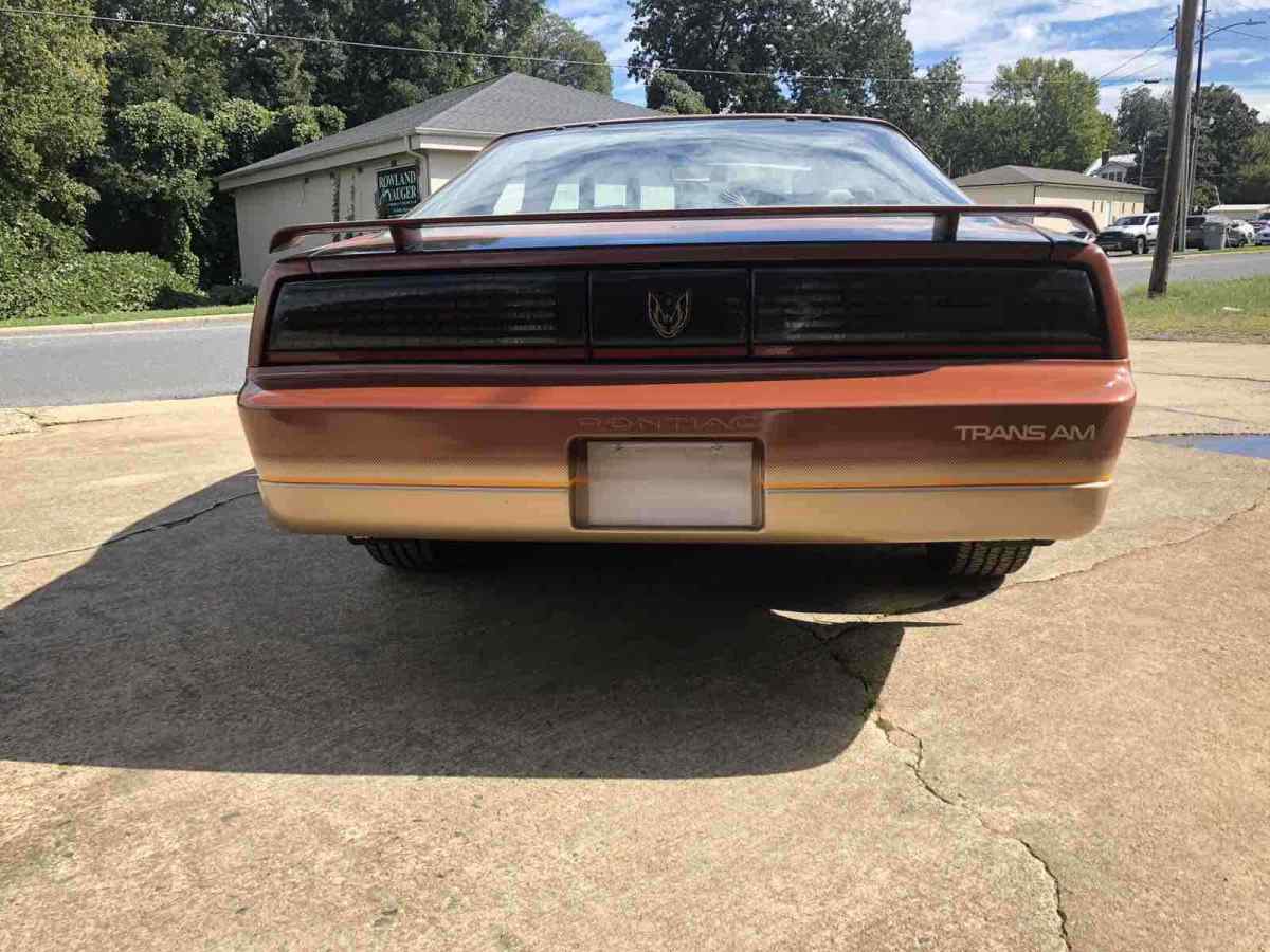 1985 Pontiac Firebird TRANS AM - photo 4