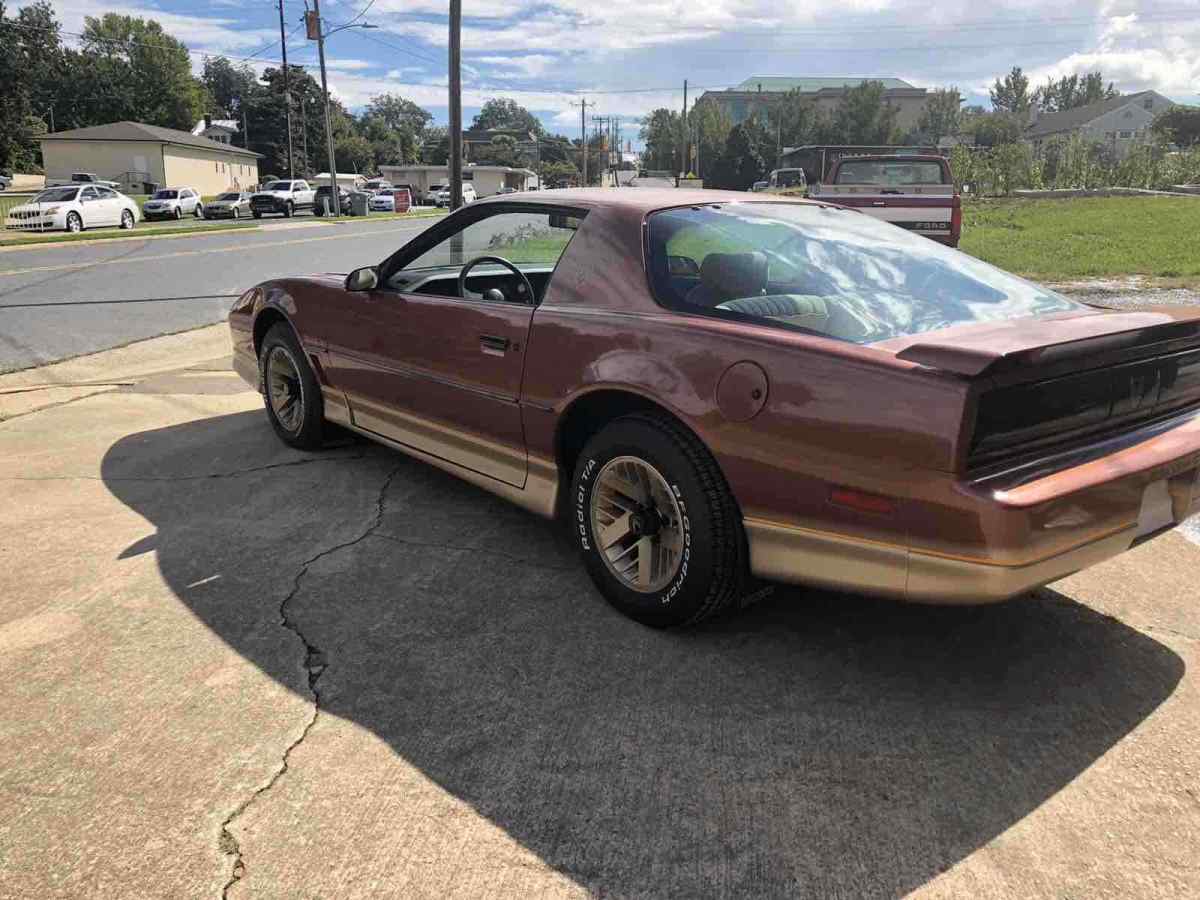 1985 Pontiac Firebird TRANS AM - photo 5