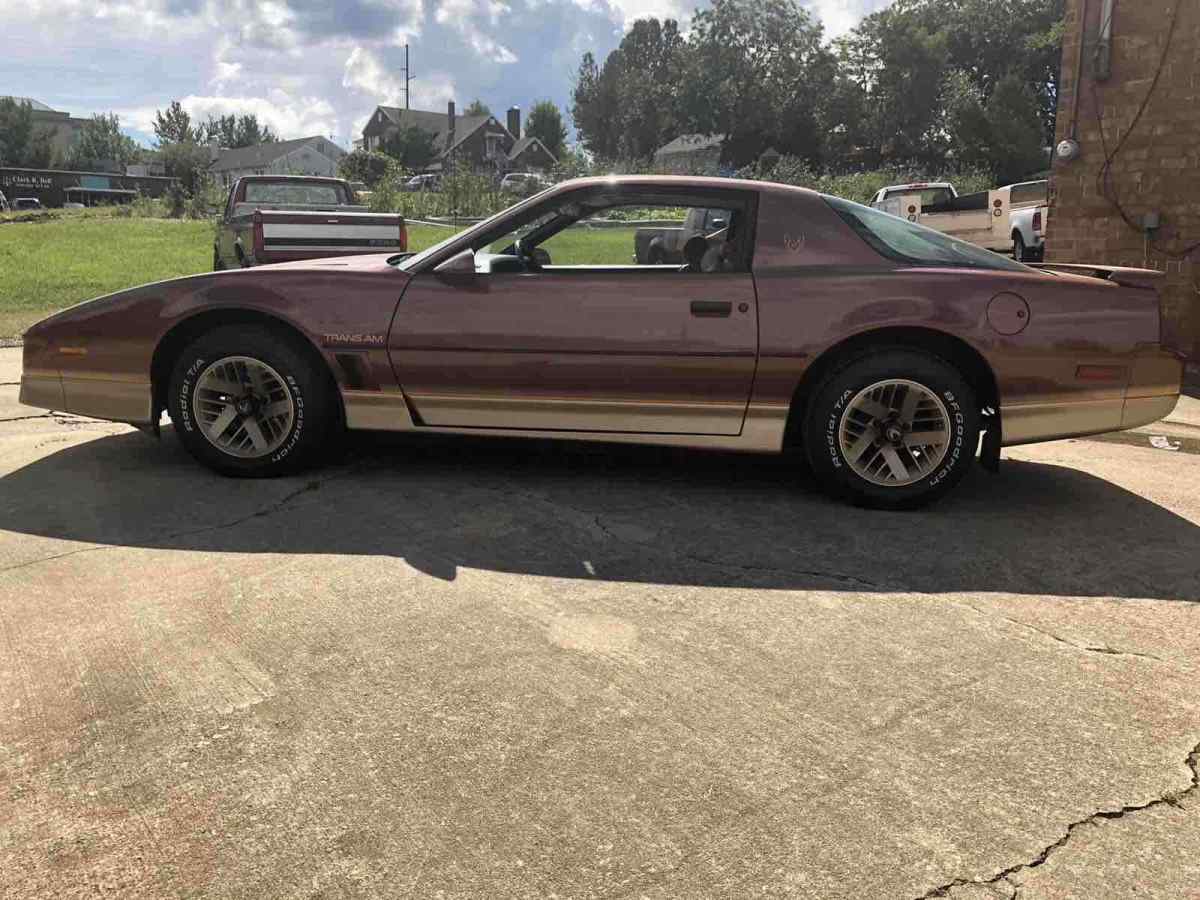 1985 Pontiac Firebird TRANS AM - photo 6