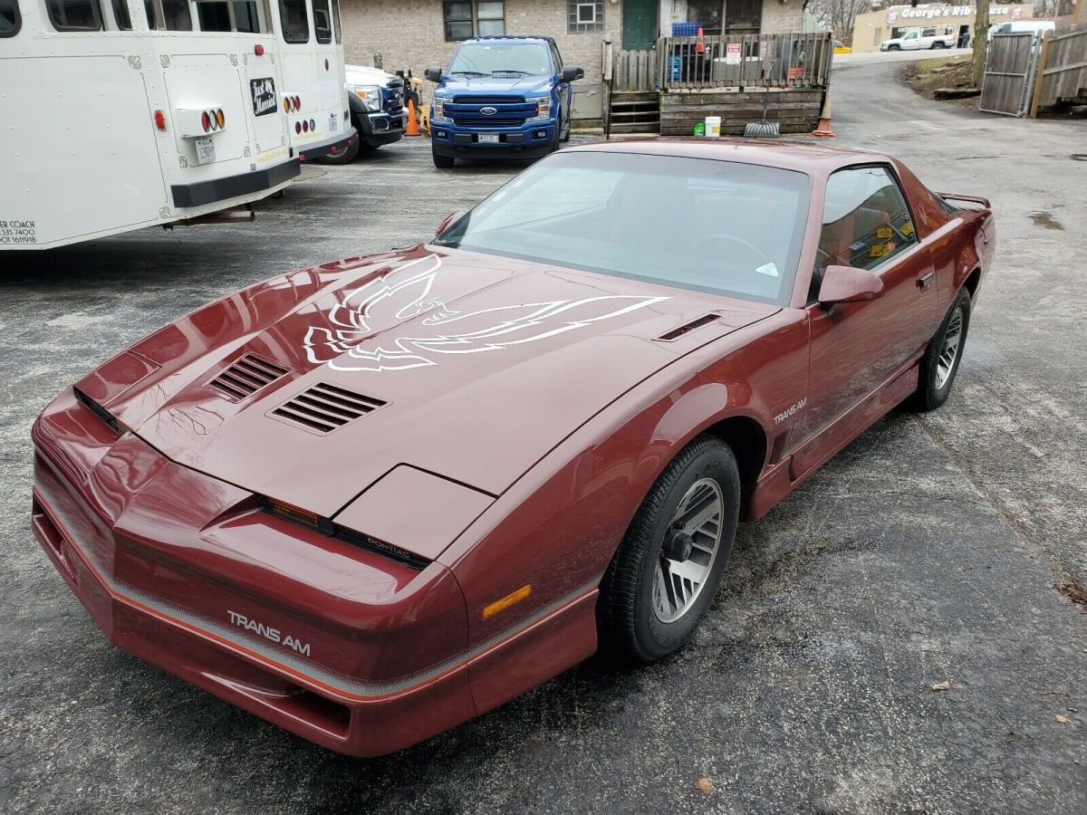 1985 Pontiac Firebird TRANS AM - photo 3