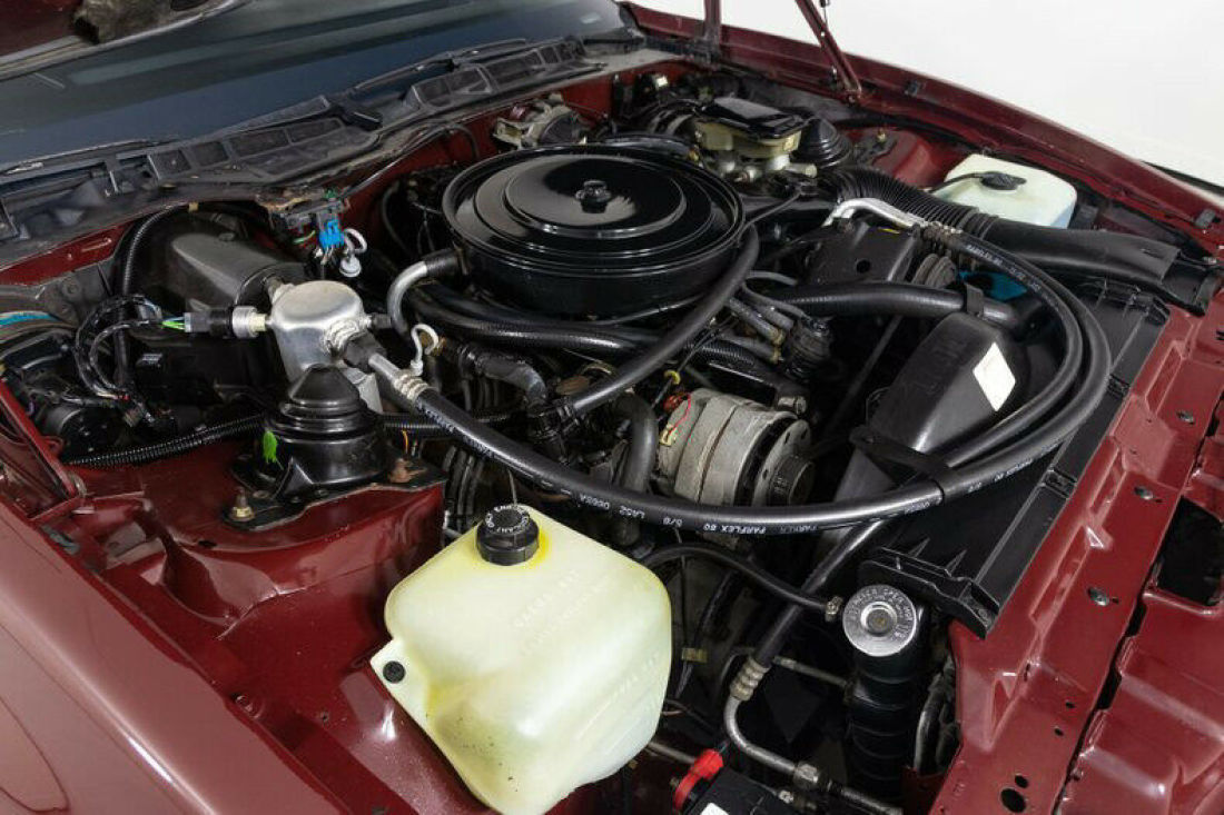 1985 Pontiac Firebird Trans Am - photo 2