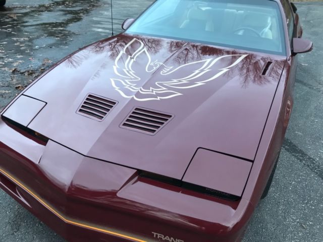 1985 Pontiac Firebird Trans Am 2dr Hatchback - photo 6