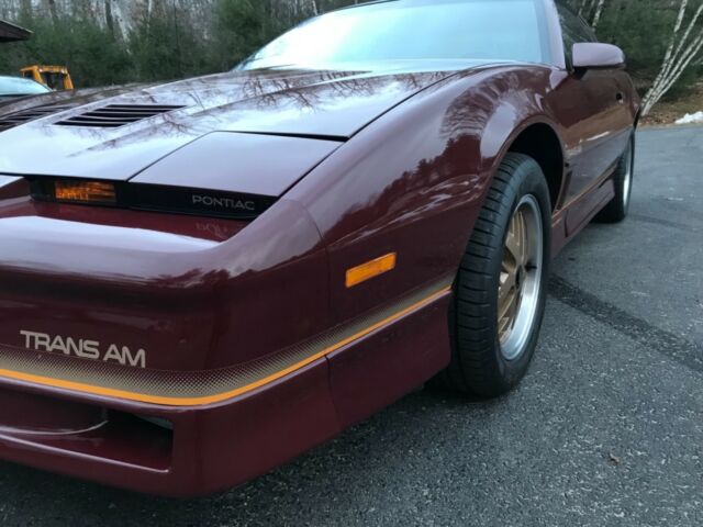 1985 Pontiac Firebird Trans Am 2dr Hatchback - photo 7