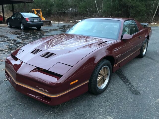 1985 Pontiac Firebird Trans Am 2dr Hatchback - photo 8