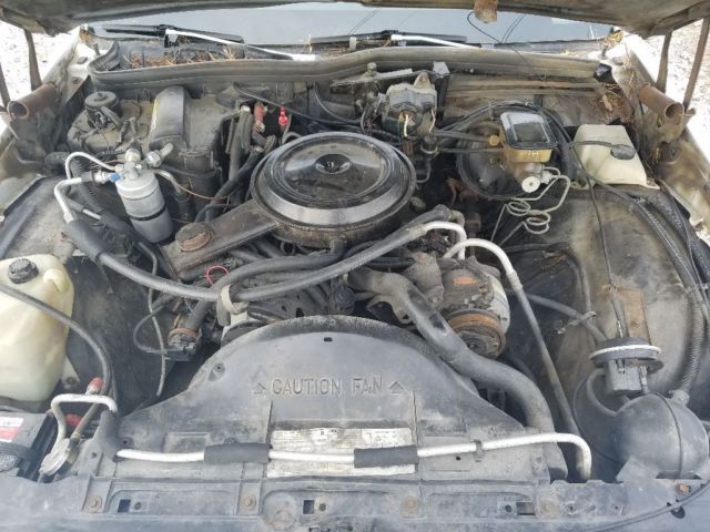 1985 Pontiac Parisienne Brougham - photo 11
