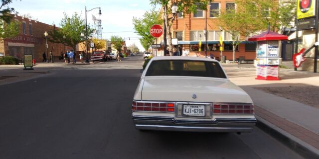 1985 Pontiac Parisienne - photo 11