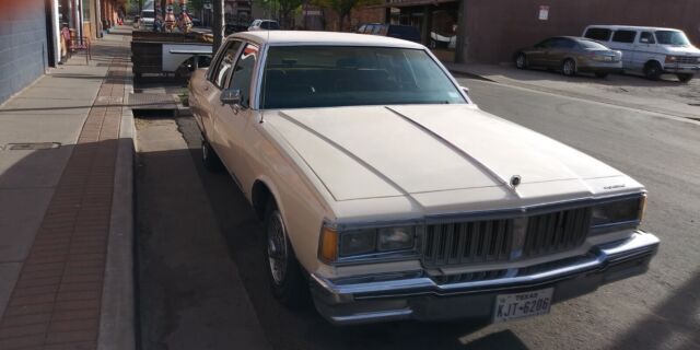 1985 Pontiac Parisienne - photo 12