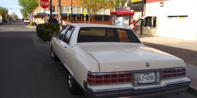 1985 Pontiac Parisienne - photo 3