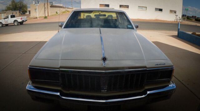 1985 Pontiac Parisienne - photo 6