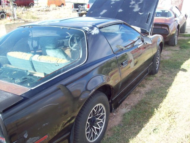 1985 Pontiac Trans Am - photo 10