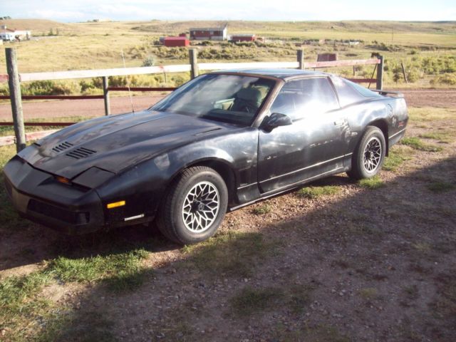 1985 Pontiac Trans Am - photo 13