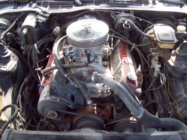 1985 Pontiac Trans Am - photo 6