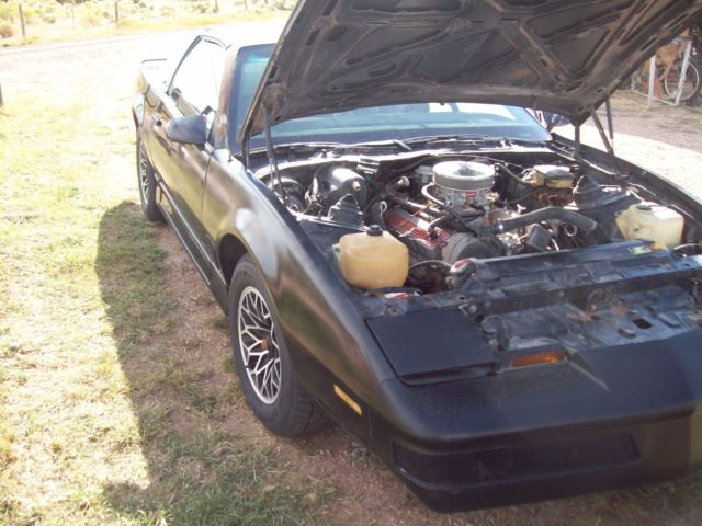 1985 Pontiac Trans Am - photo 8