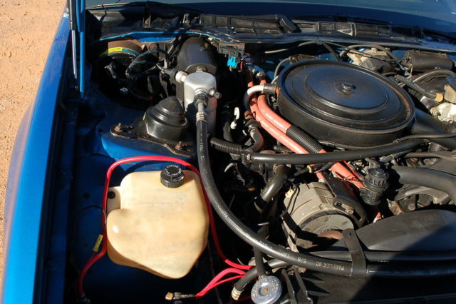 1985 Pontiac Trans Am - photo 12