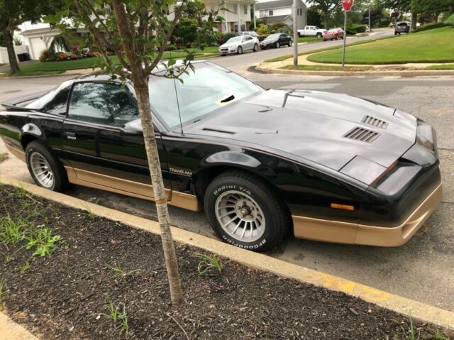 1985 Pontiac Trans Am - photo 4