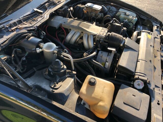 1985 Pontiac Trans Am - photo 6