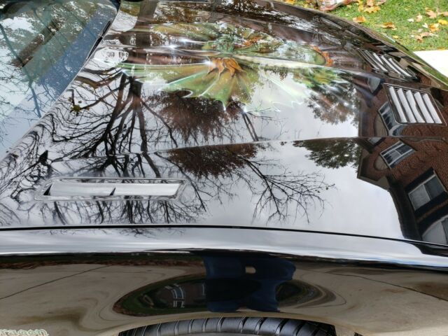 1985 Pontiac Firebird Trans Am - photo 11