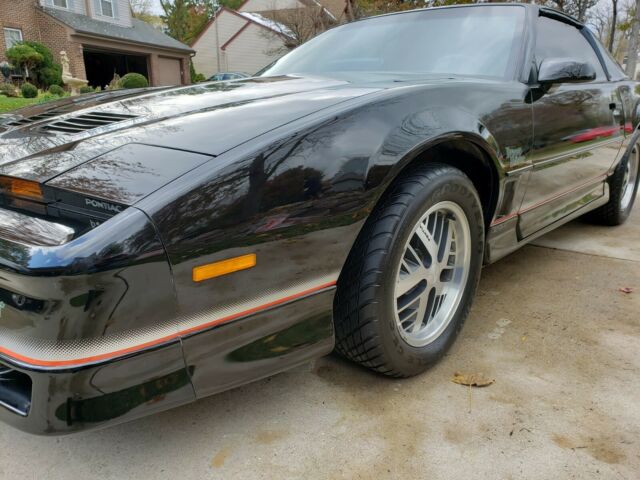 1985 Pontiac Firebird Trans Am - photo 2