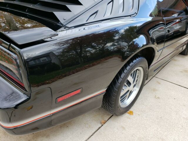 1985 Pontiac Firebird Trans Am - photo 8