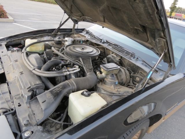 1985 Pontiac Trans Am GOLD - photo 5