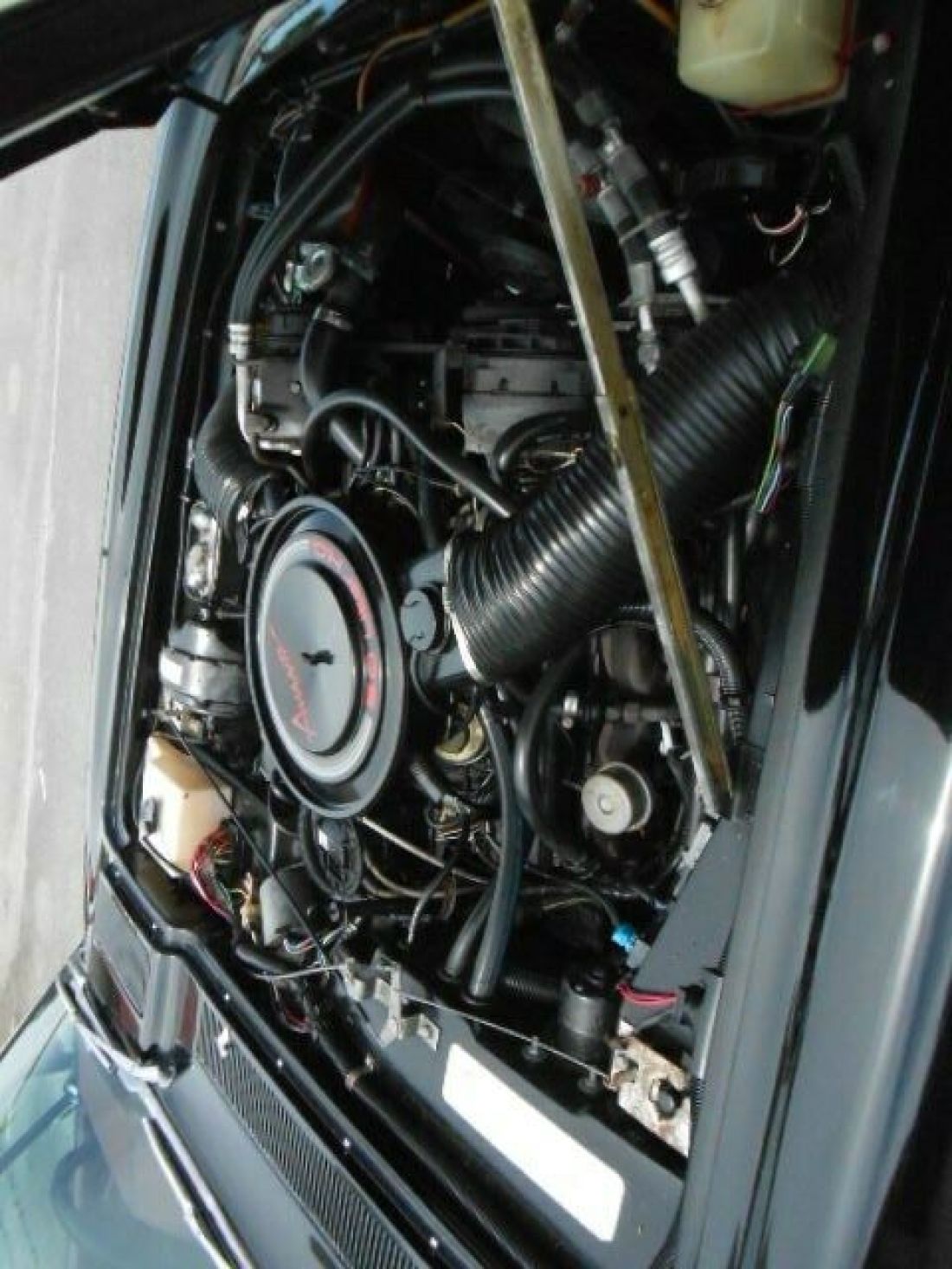 1985 Studebaker Avanti - photo 12