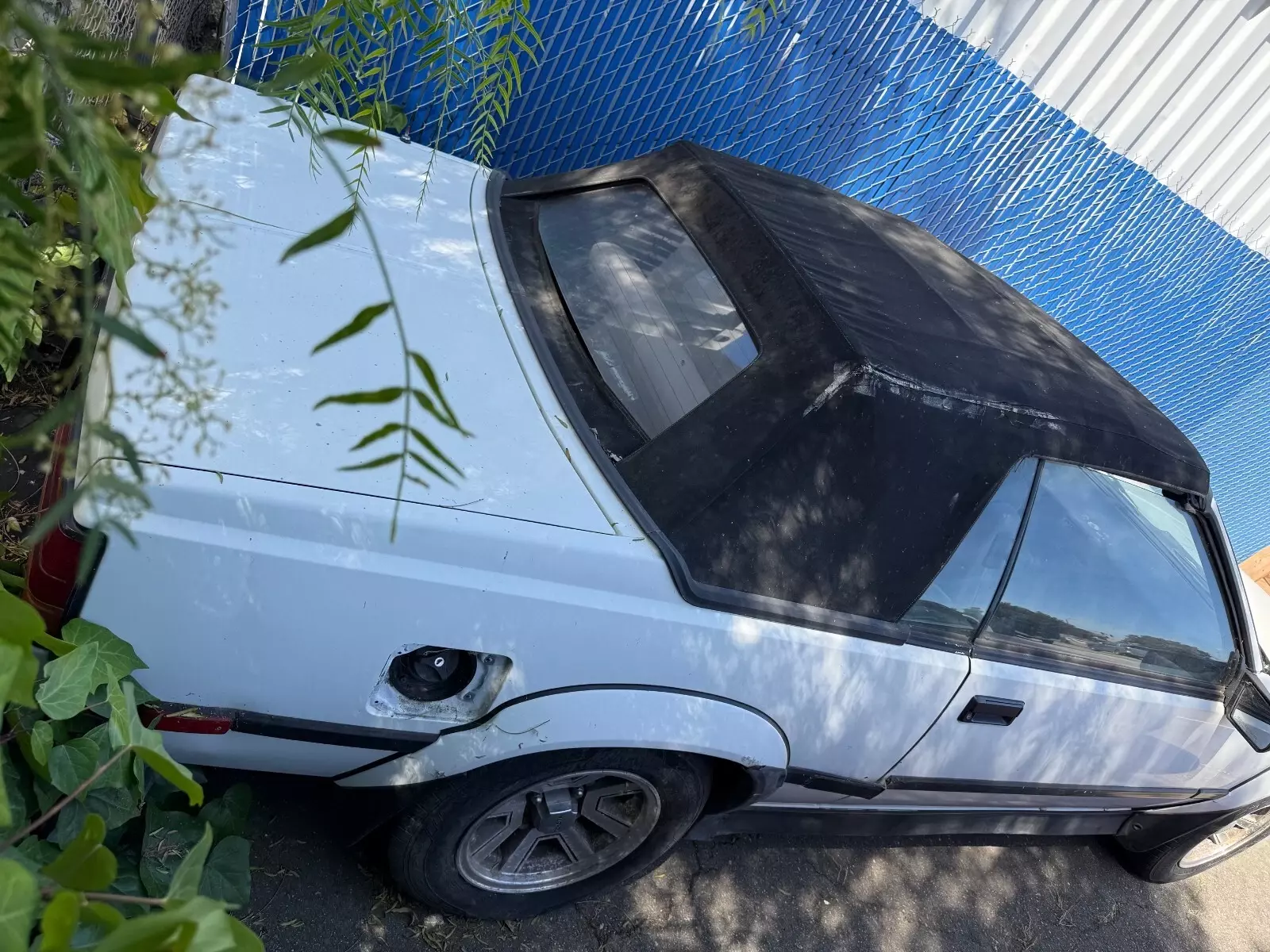 1985 Toyota Celica - photo 5